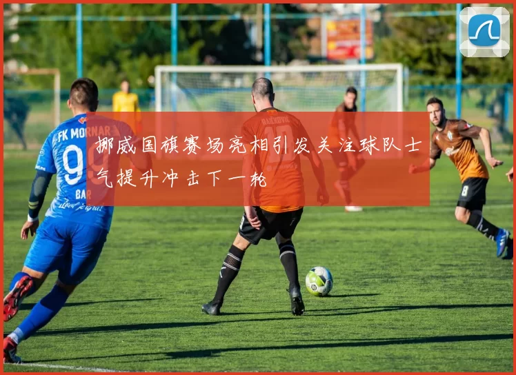 挪威国旗赛场亮相引发关注球队士气提升冲击下一轮