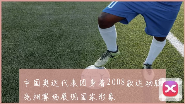 中国奥运代表团身着2008款运动服亮相赛场展现国家形象