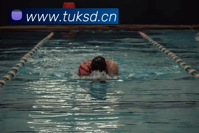 333体育(中国)官方网站 - 333 SPORTSAPP 封面图